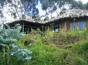 Mount Kilimanjaro View Lodge Moshi Exterior photo